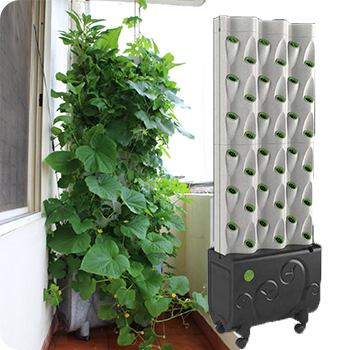 vertical indoor gardening system in Bangalore