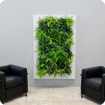 living room indoor gardening system in Gurugram