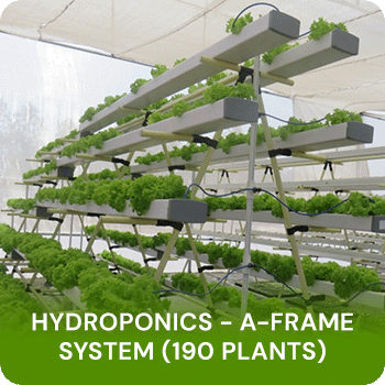 190 Plants hydroponic home garden kits Hyderabad