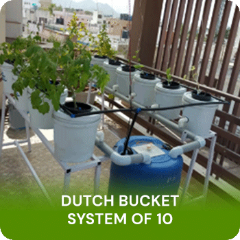 Dutch Bucket System for Balconies and Terrace
