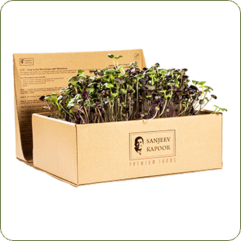 Microgreens growing kits Bangalore